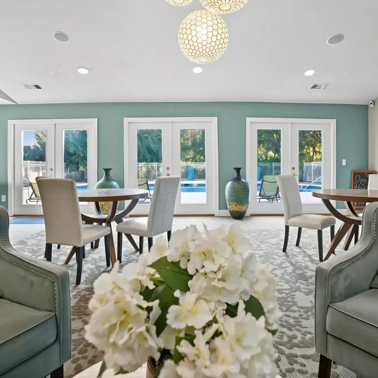 Clemson ridge apartments