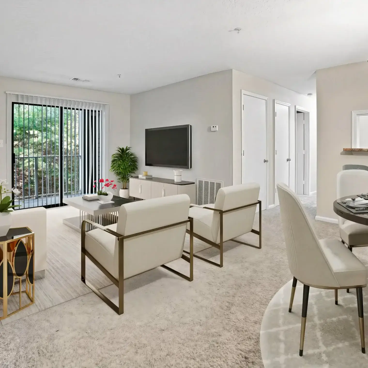 Clemson ridge apartments interior